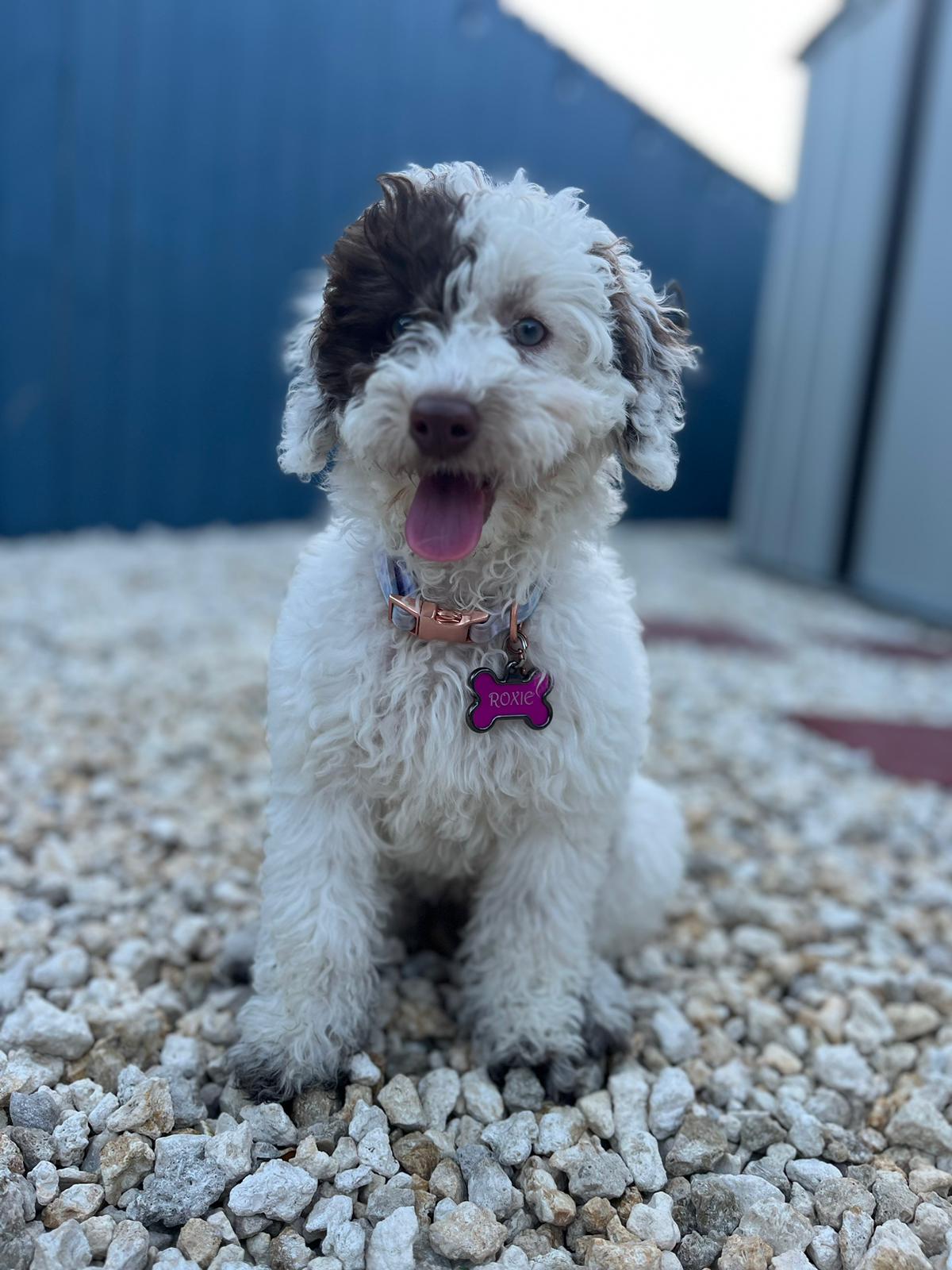 0103555f-8689-477c-80a6-3aecc573d1bb