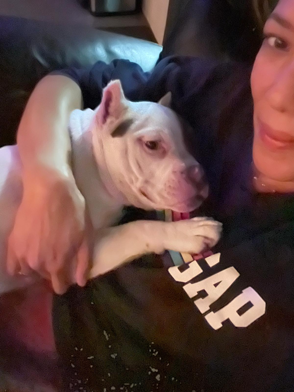 106d6a90-ebdf-49c1-8e5c-d6f5f444a673