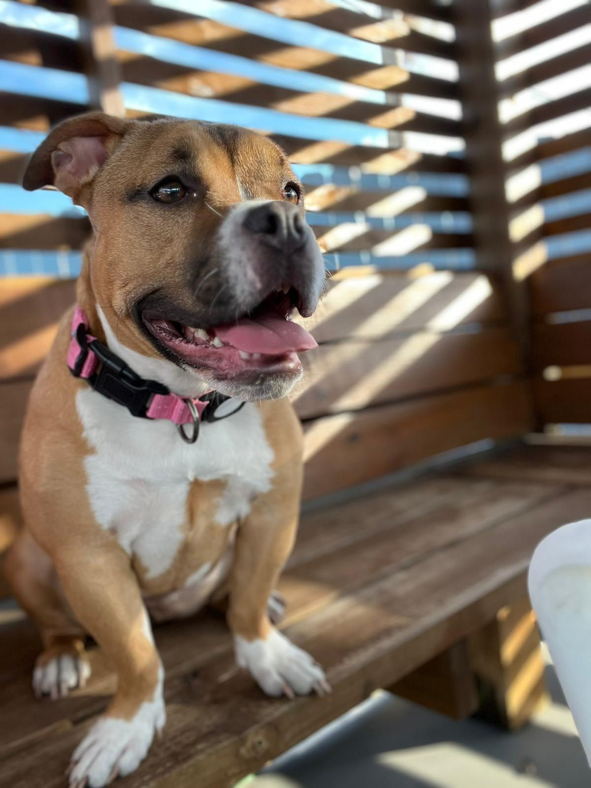 1bb7d057-e8fd-4510-bb28-7fac3cbf3f1a