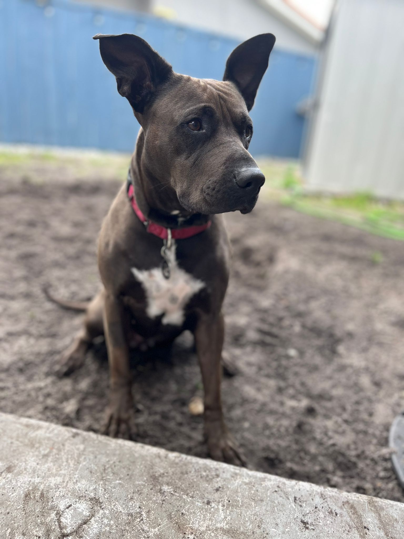 3bb4bfab-2110-4420-96ea-e5556d26f3ed