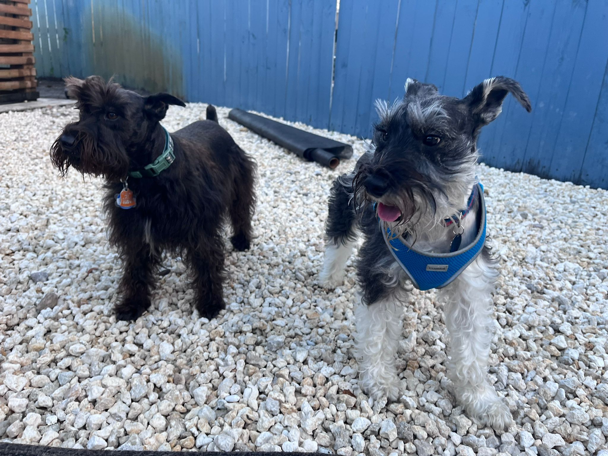 3d2f8d90-0a21-4ac7-925c-7785dc2df9fa