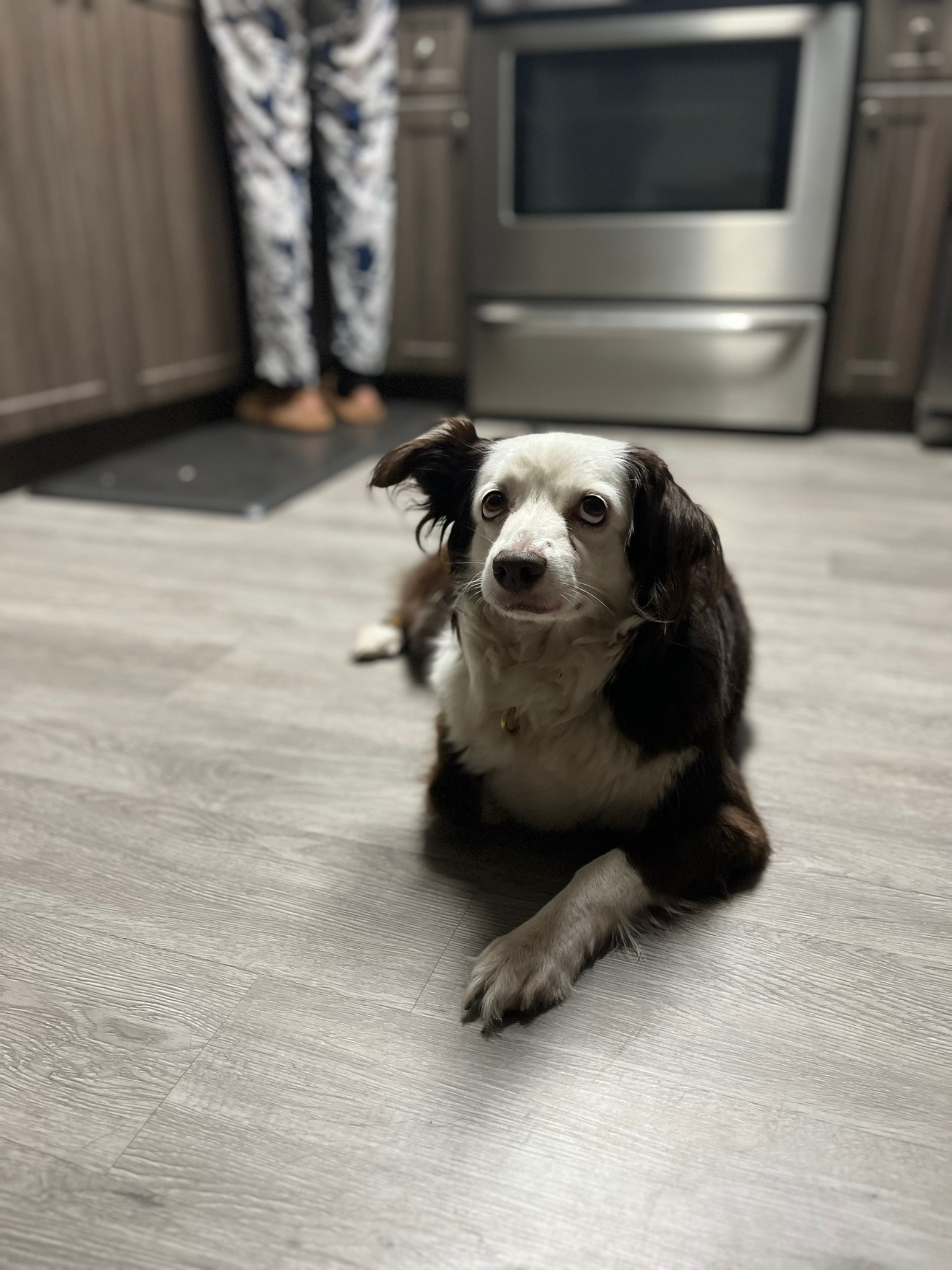 9c54f14c-bfea-4075-b50d-52051685eee6