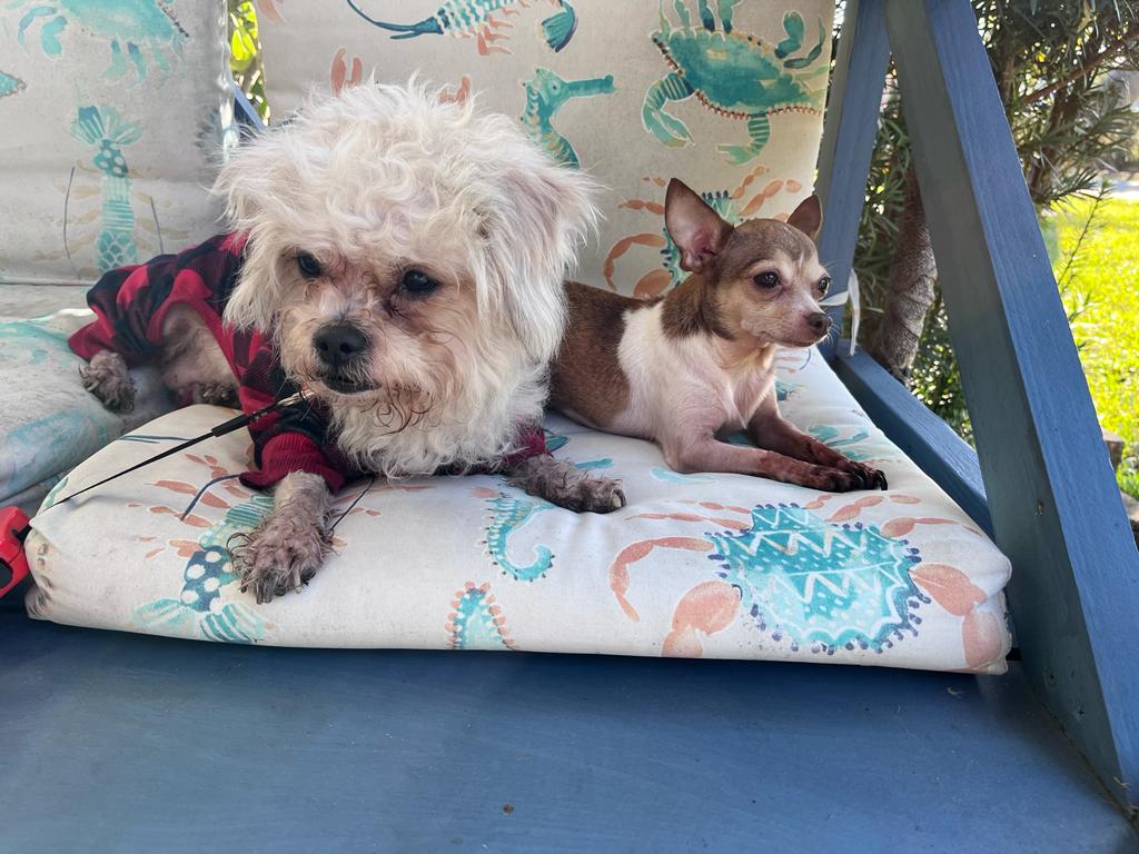 ab255dfd-5241-4609-ab42-4aae0add284f