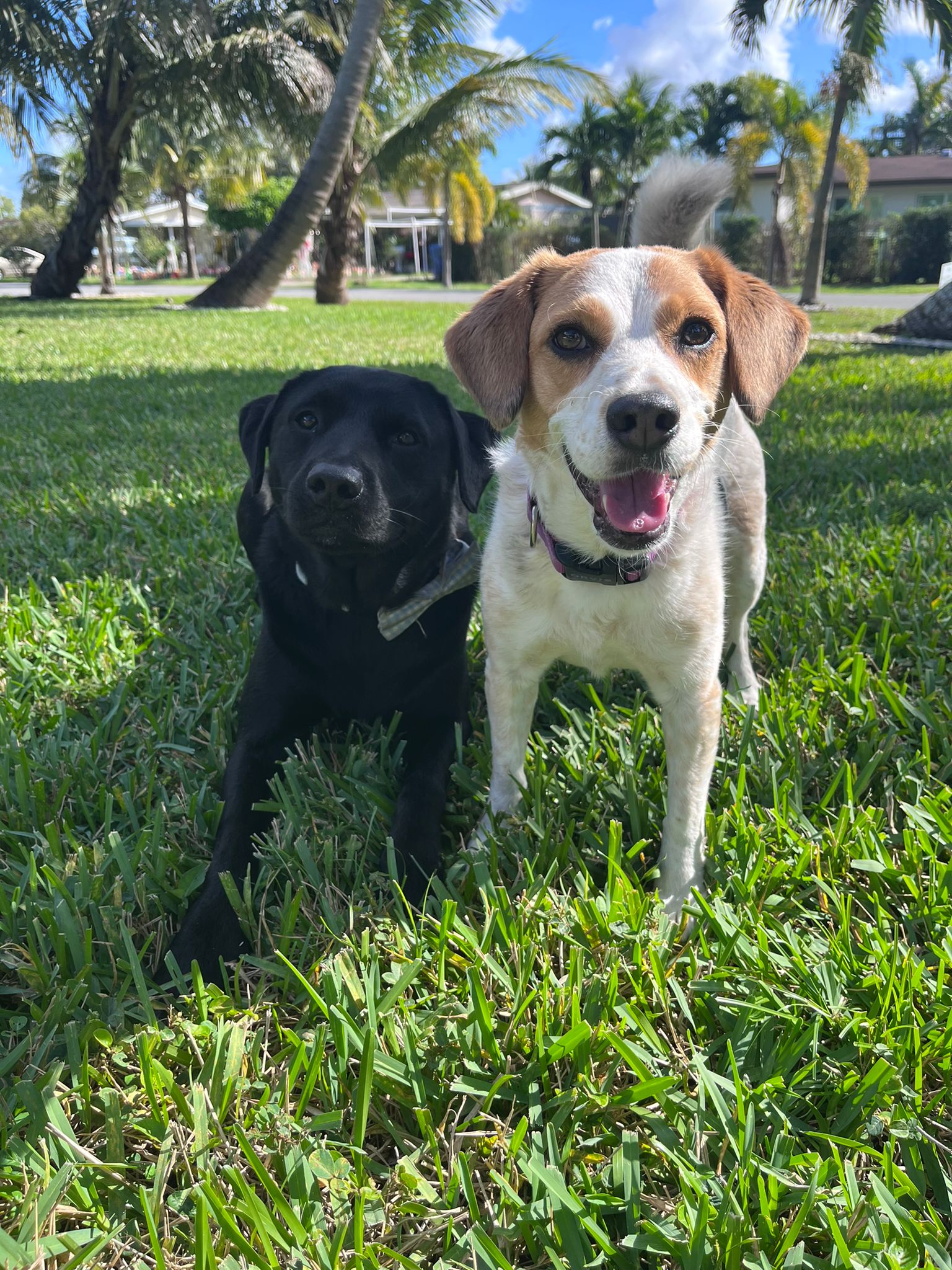 cd2b424a-d836-4548-aed7-12131f27f9ec