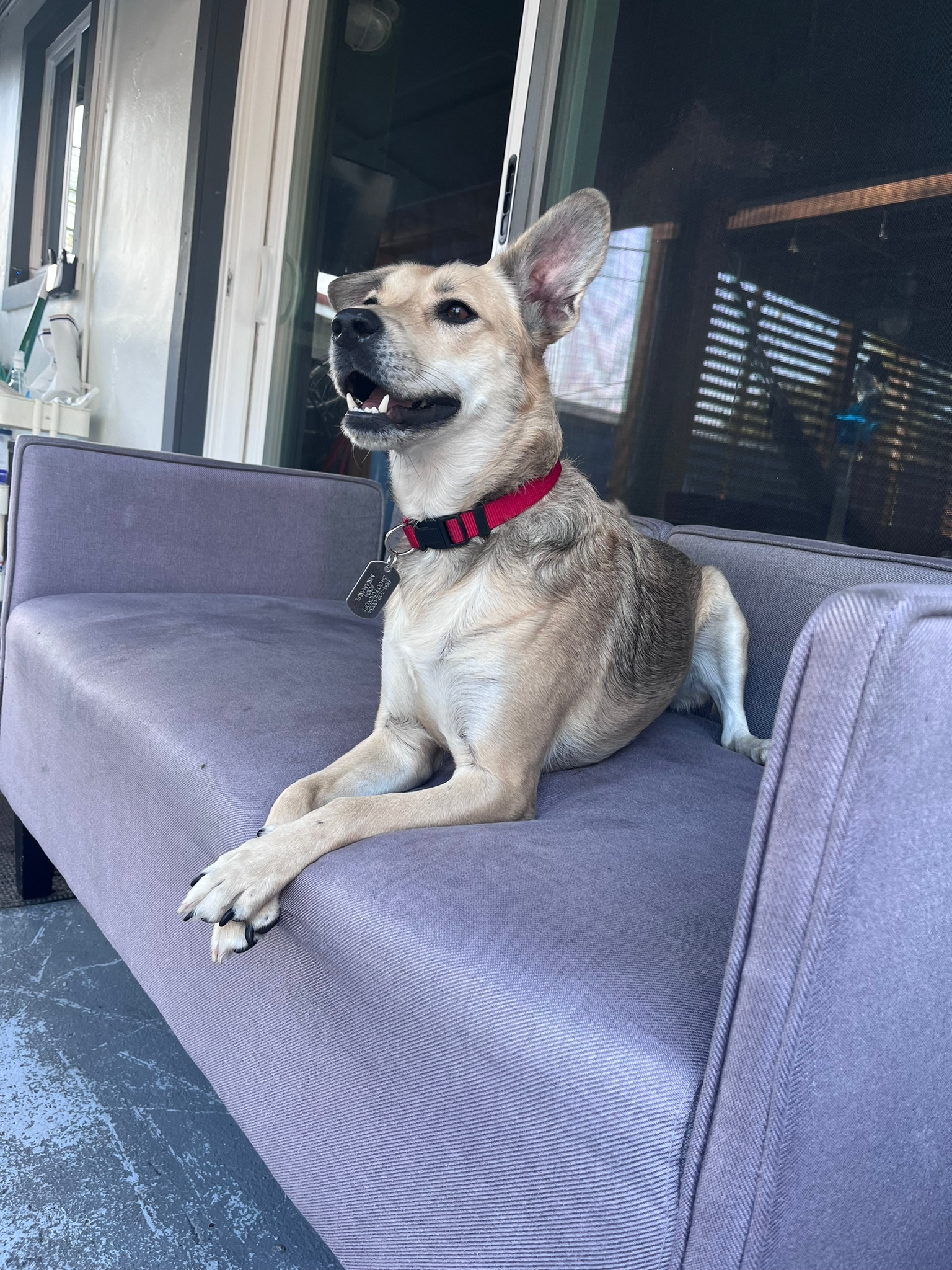 ce2b9176-8dee-4c38-bf89-7f29d0e58dc6