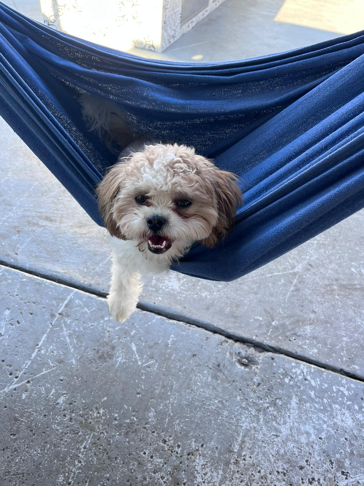 db7ad39f-0ec9-401a-8b70-77a415bd6511