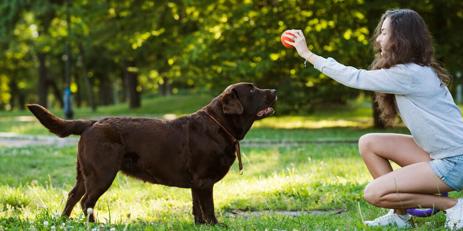 Communication: Understanding and Strengthening Your Bond