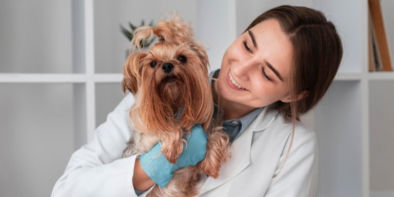 A Guide to a Happy and Healthy Dog: Nutrition Essentials